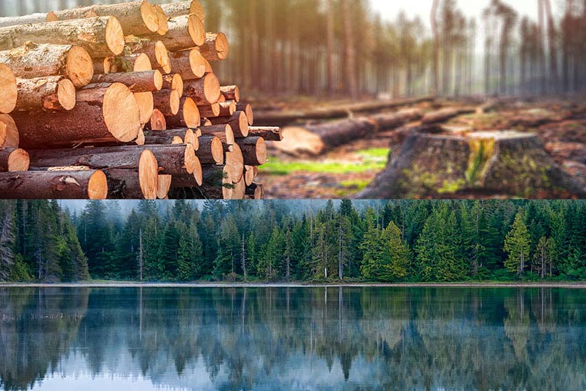 hand dryers prevent cutting down trees and preserves clean water