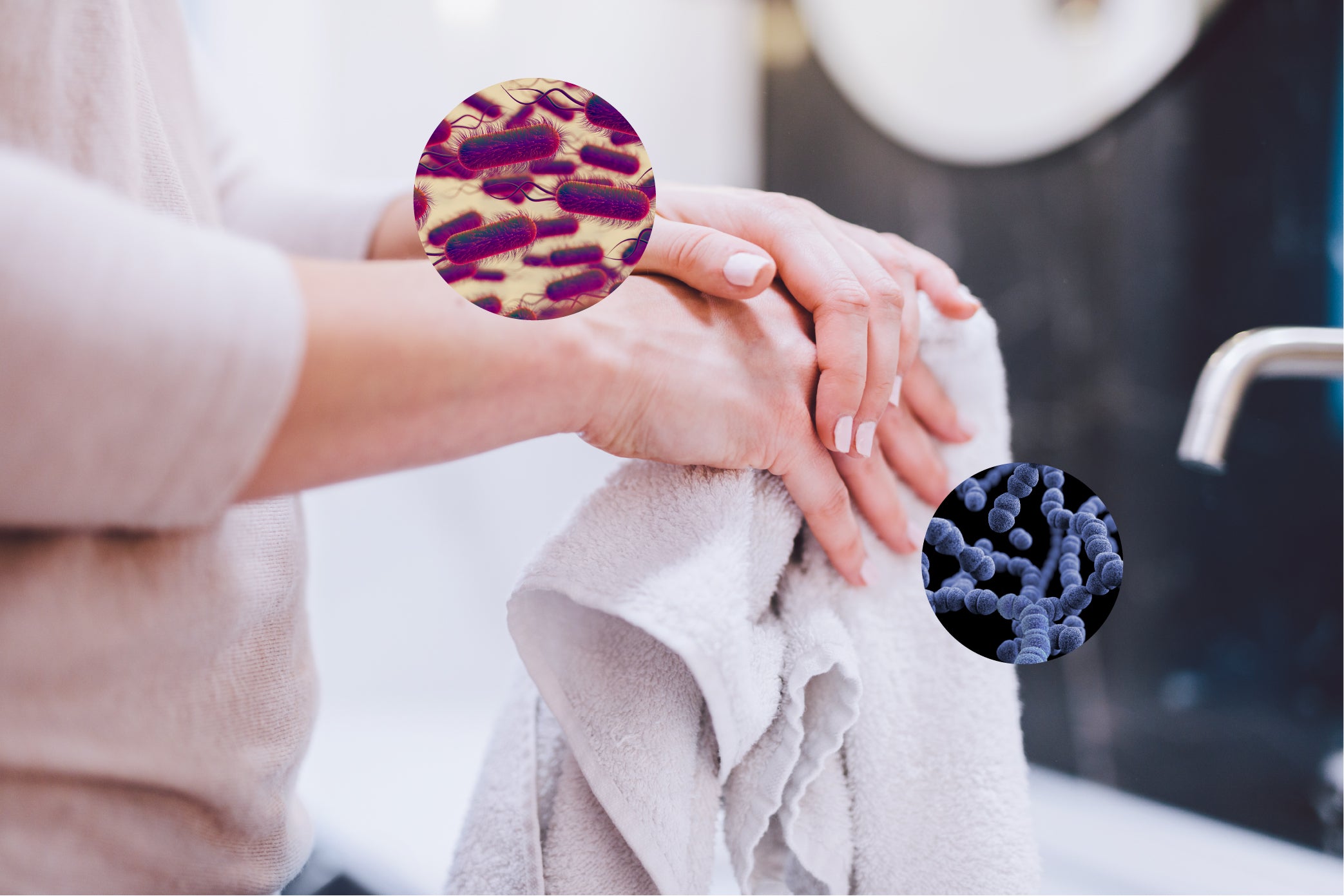 Germ Growth on Household Hand Towels